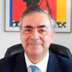 Jose Domingo Gómez Castallo
